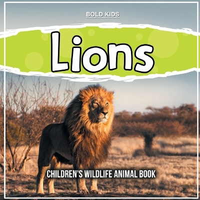 Book cover for Lions