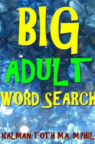 Cover of Big Adult Word Search