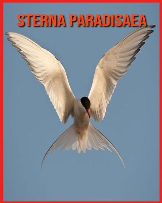 Book cover for Sterna Paradisaea