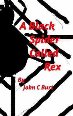 Book cover for A Black Spider Called Rex.