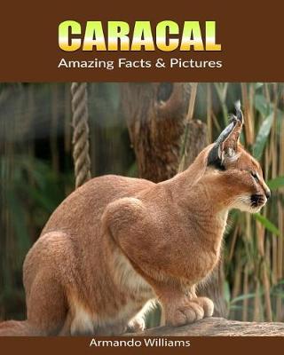 Book cover for Caracal