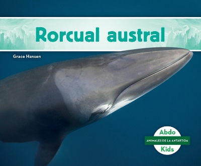 Book cover for Rorcual Austral