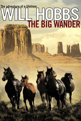 Book cover for The Big Wander