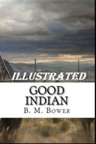 Cover of The Good Indian Illustrated