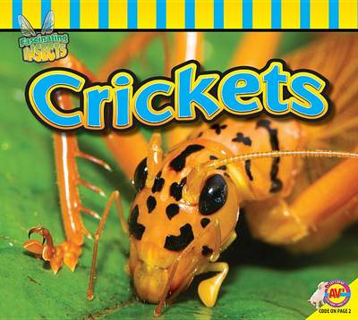 Cover of Crickets