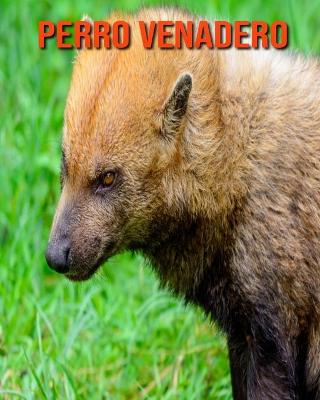 Book cover for Perro venadero