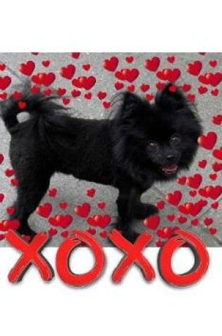 Cover of Valentine's all Love xoxo Pomeranian creative blank journal