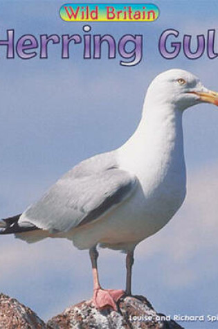 Cover of Herring Gull Paperback