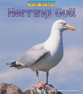 Book cover for Herring Gull Paperback