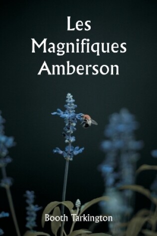 Cover of Les magnifiques Amberson