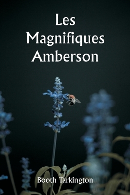 Book cover for Les magnifiques Amberson