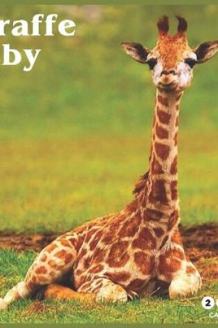 Cover of Baby Giraffe 2021 Calendar