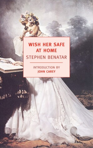 Book cover for Wish Her Safe At Home