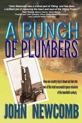 Book cover for A Bunch of Plumbers