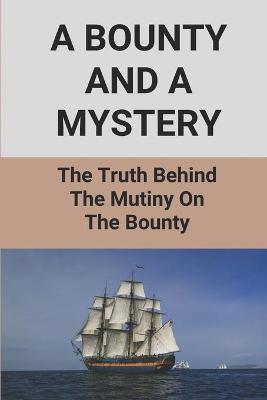 Book cover for A Bounty And A Mystery