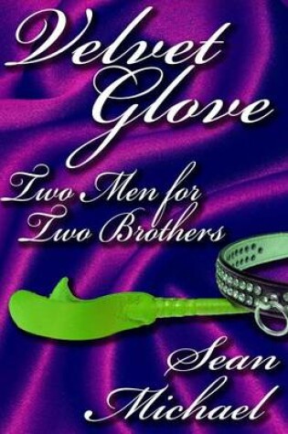 Cover of Two Men for Two Brothers, a Velvet Glove Story