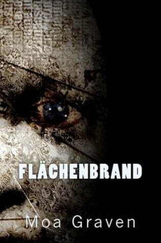 Cover of Flaechenbrand