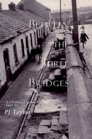 Cover of Between the Three Bridges