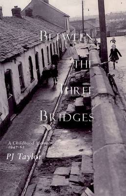 Book cover for Between the Three Bridges