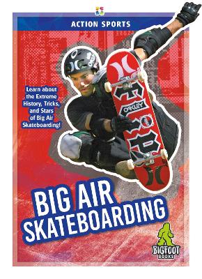 Book cover for Big Air Skateboarding