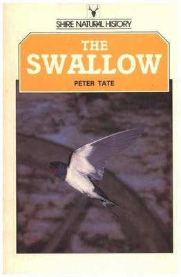 Book cover for The Swallow