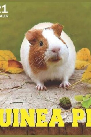 Cover of 2021 guinea pig