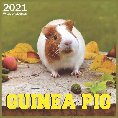 Book cover for 2021 guinea pig