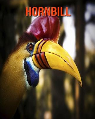 Book cover for Hornbill