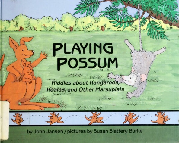 Book cover for Playing Possum