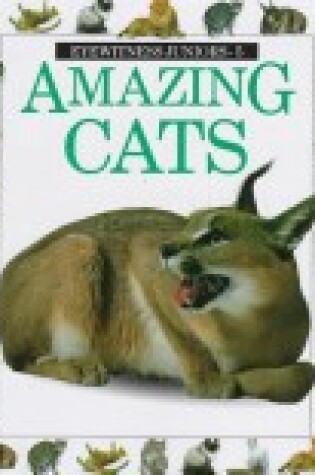 Cover of Amazing Cats