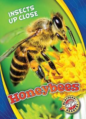 Book cover for Honeybees