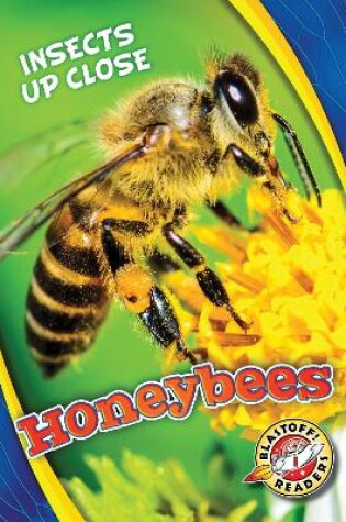 Cover of Honeybees