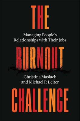 Book cover for The Burnout Challenge