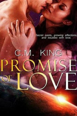 Cover of Promise of Love