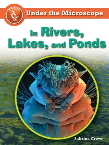 Cover of In Rivers, Lakes, and Ponds