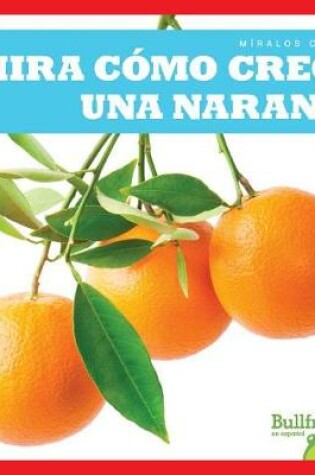 Cover of Mira Cómo Crece Una Naranja (Watch an Orange Grow)