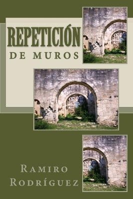 Book cover for Repetición de muros