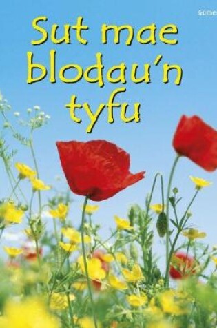 Cover of Cyfres Dechrau Da: Sut Mae Blodau'n Tyfu?