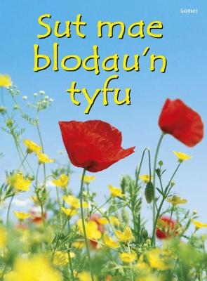 Book cover for Cyfres Dechrau Da: Sut Mae Blodau'n Tyfu?