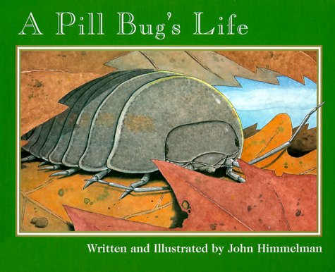 Book cover for A Pill Bug's Life