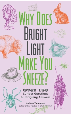 Book cover for Why Does Bright Light Make You Sneeze?