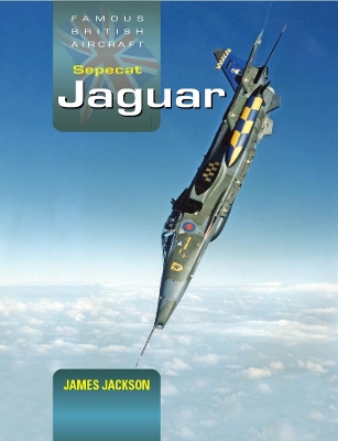 Book cover for Jaguar