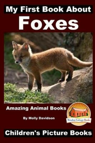 Cover of My First Book about Foxes - Amazing Animal Books - Children's Picture Books
