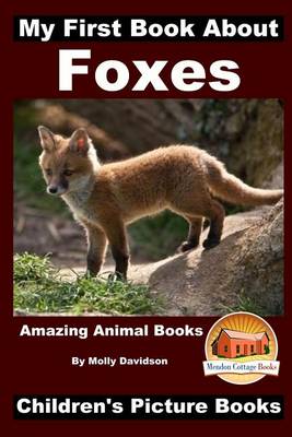 Book cover for My First Book about Foxes - Amazing Animal Books - Children's Picture Books