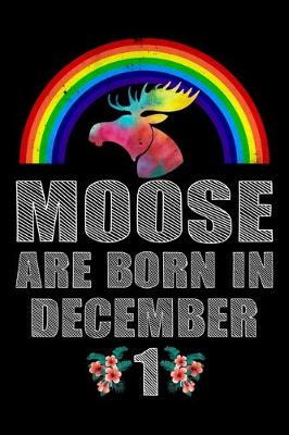 Book cover for Moose Are Born In December 1