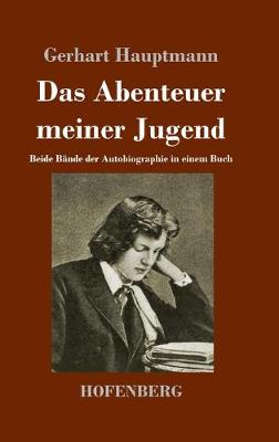 Book cover for Das Abenteuer meiner Jugend