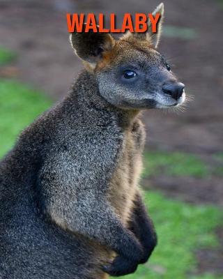 Book cover for Wallaby