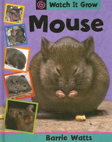 Cover of Mouse