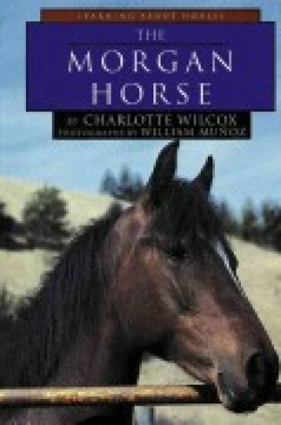 Cover of The Morgan Horse