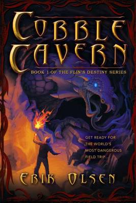 Book cover for Cobble Cavern